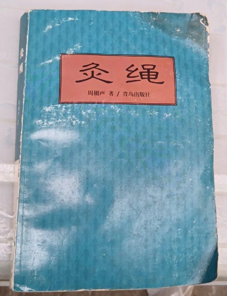 Le "Jiu Sheng" : une bible moderne de la moxibustion