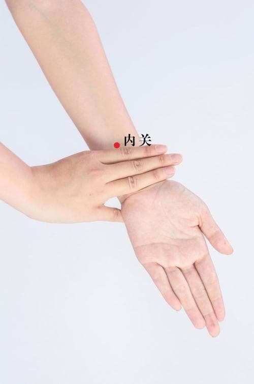 Localisation point neiguan P